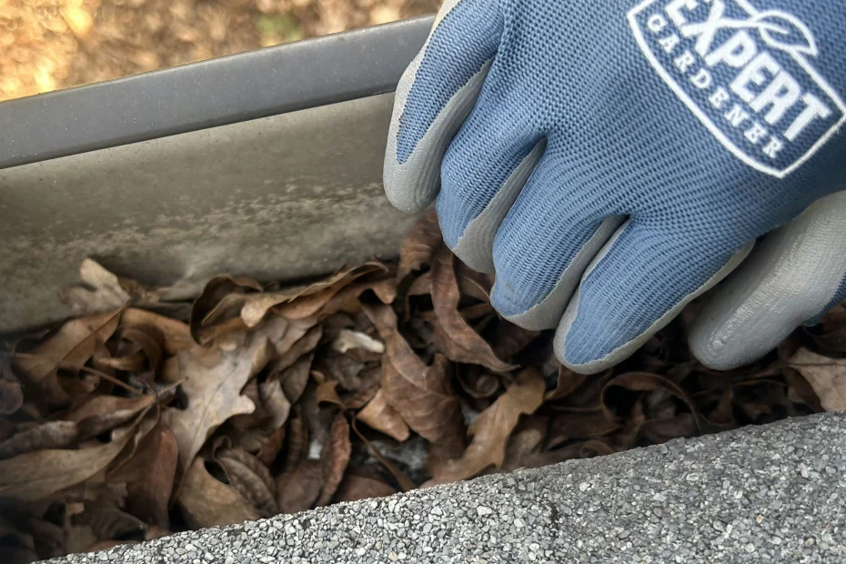 Gutter Cleaning Gladstone, MO